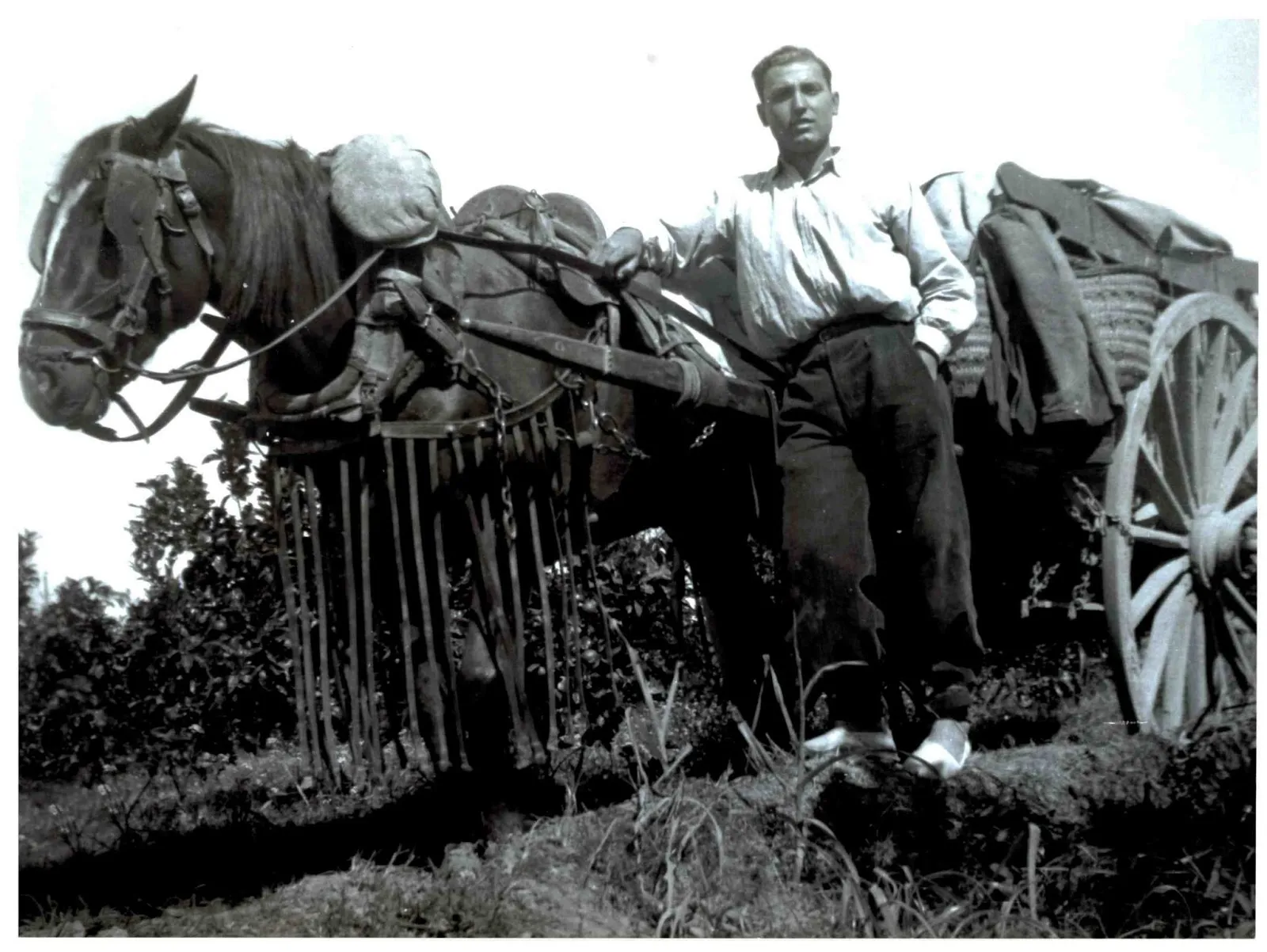 Agricultura y costumbres del campo y del mundo rural