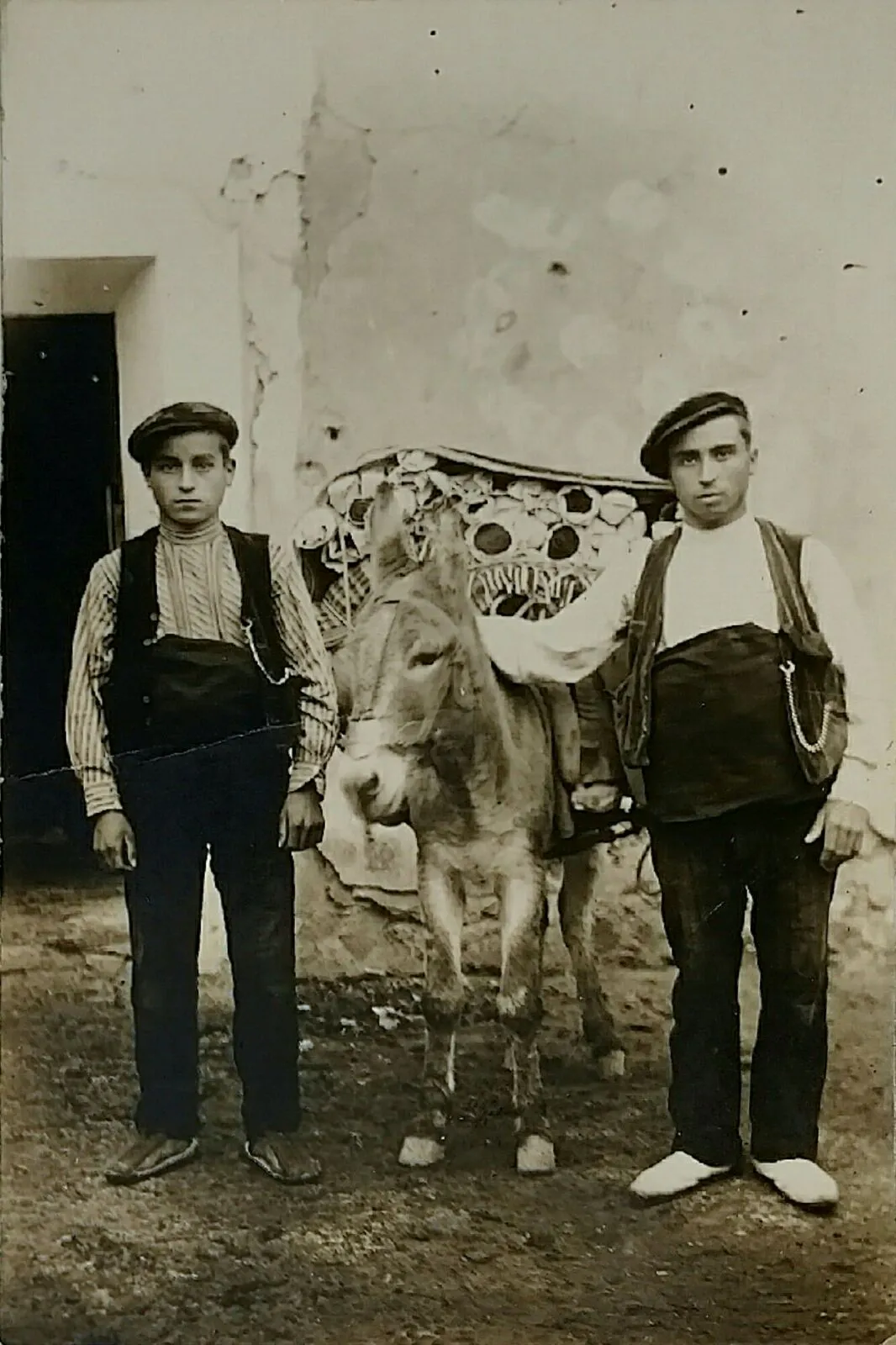 Faixero, faixes!