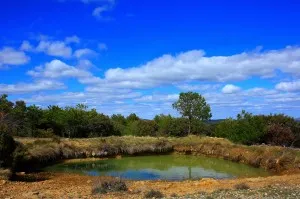 La utilitat de la pedra en sec