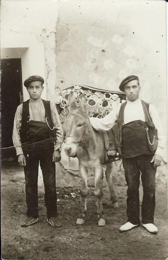 Agricultura y costumbres del campo y del mundo rural