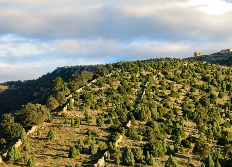 La utilitat de la pedra en sec