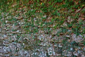La utilitat de la pedra en sec