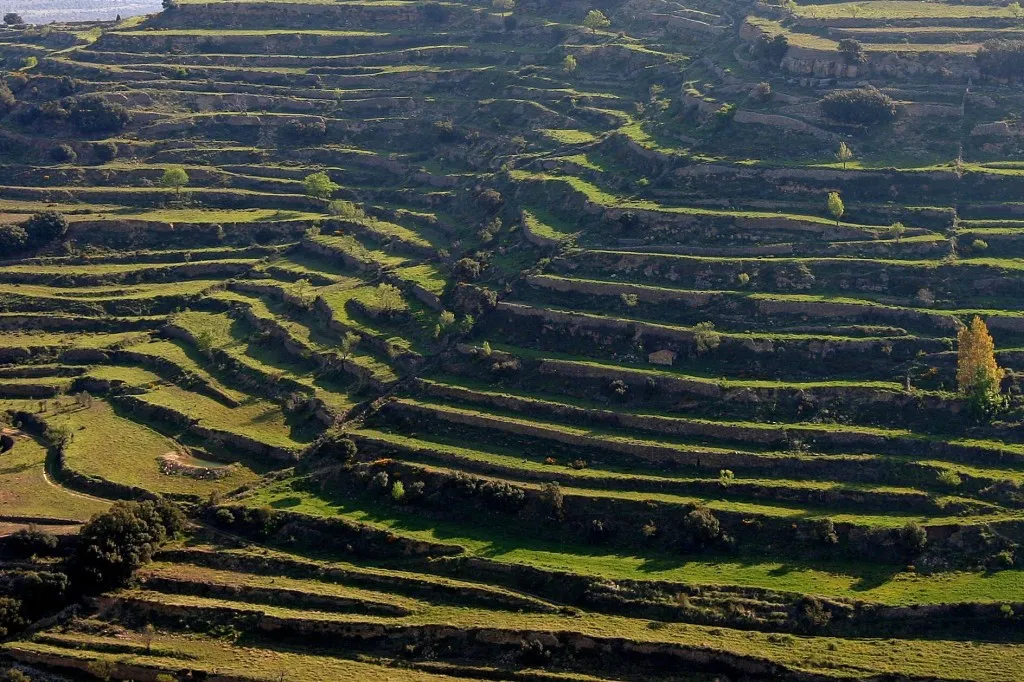 La utilitat de la pedra en sec