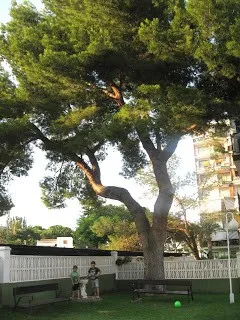 El gran pi