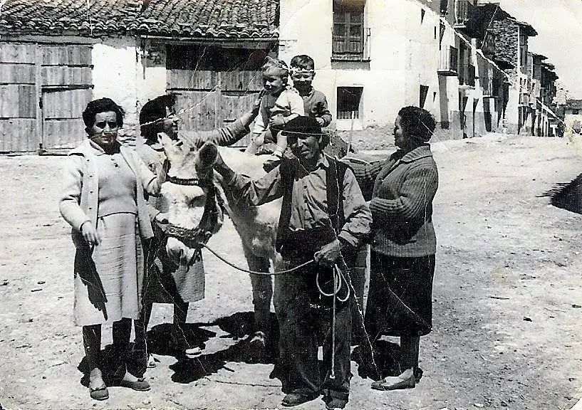 Qui ho farà?