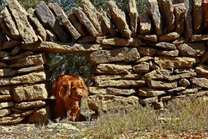 La utilitat de la pedra en sec