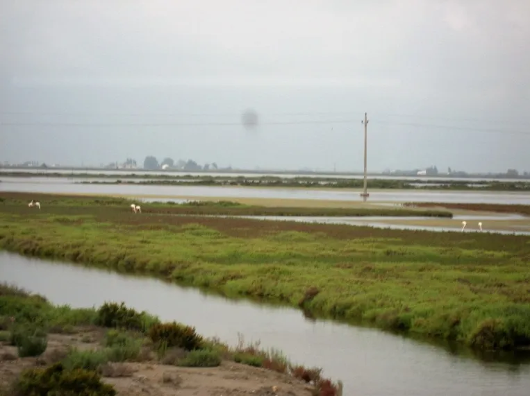 Agricultura y costumbres del campo y del mundo rural