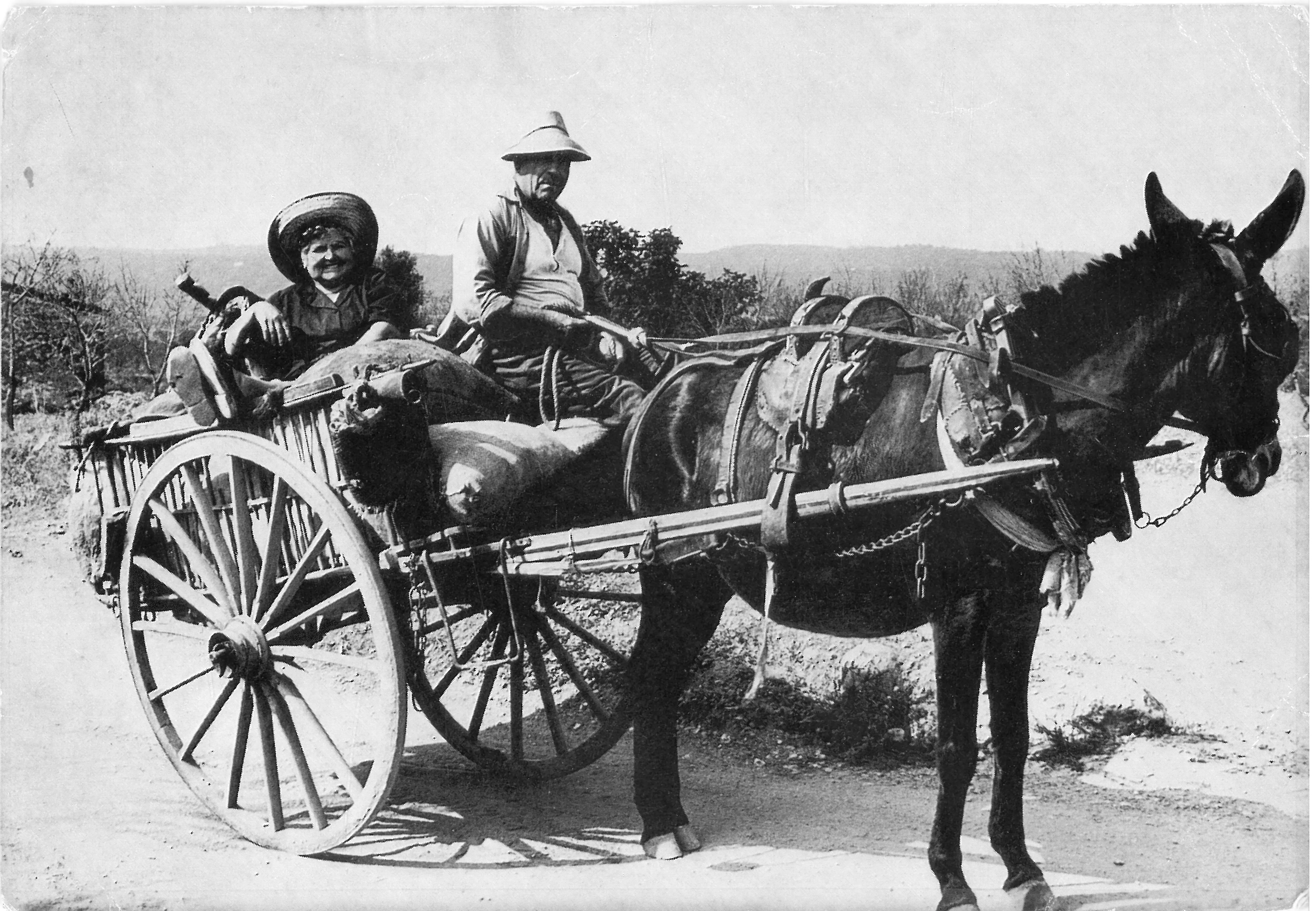 Agricultura y costumbres del campo y del mundo rural