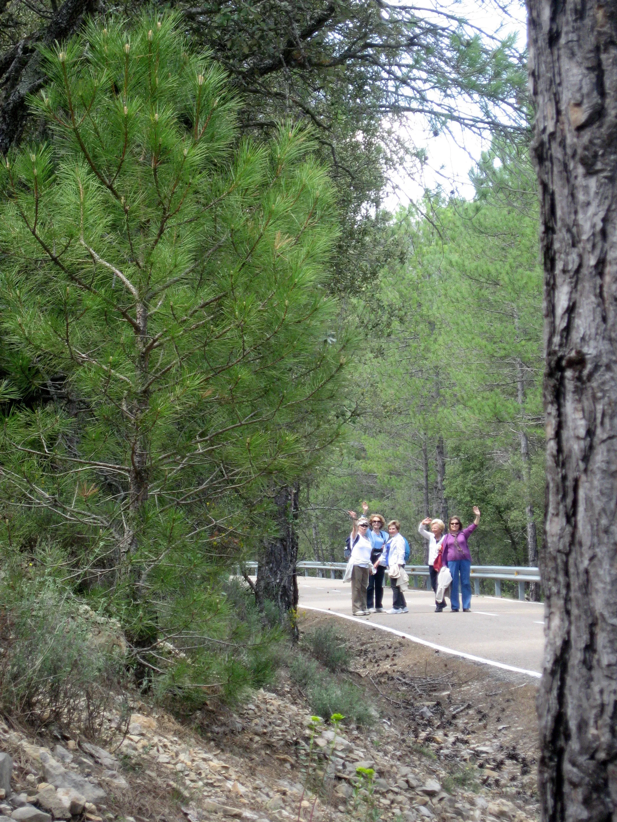 Fent camí, adeu.