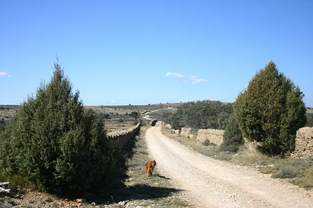 Colada de la Serra dels Llivis