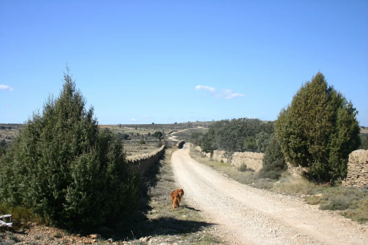 Colada de la Serra dels Llivis