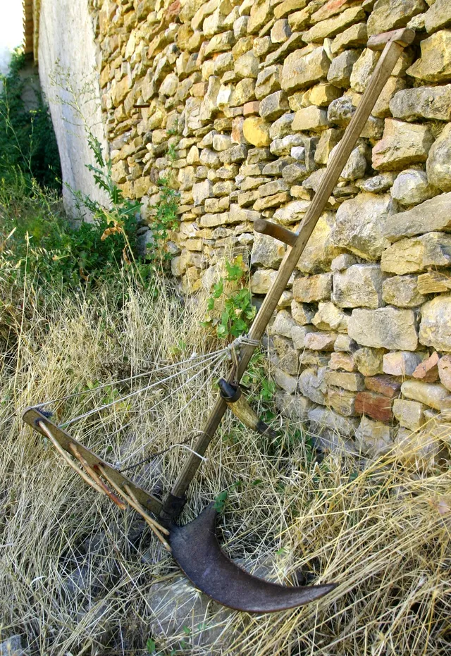 Dalla