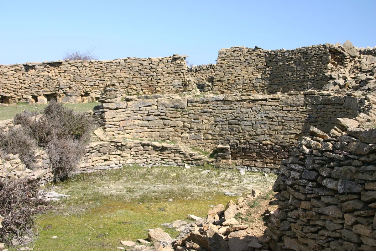 Bassa del Mas de Julian