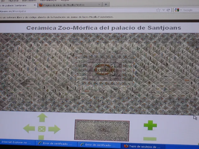 El visor «Ceràmica Zoo-Mòrfica del palacio de Santjoans», que la Diputació va presentar junt amb el llibre.